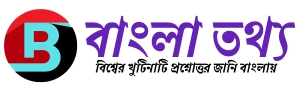 বাংলা তথ্য Logo